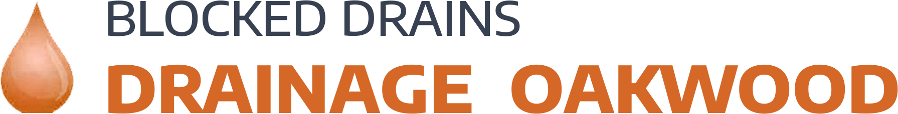 website logo